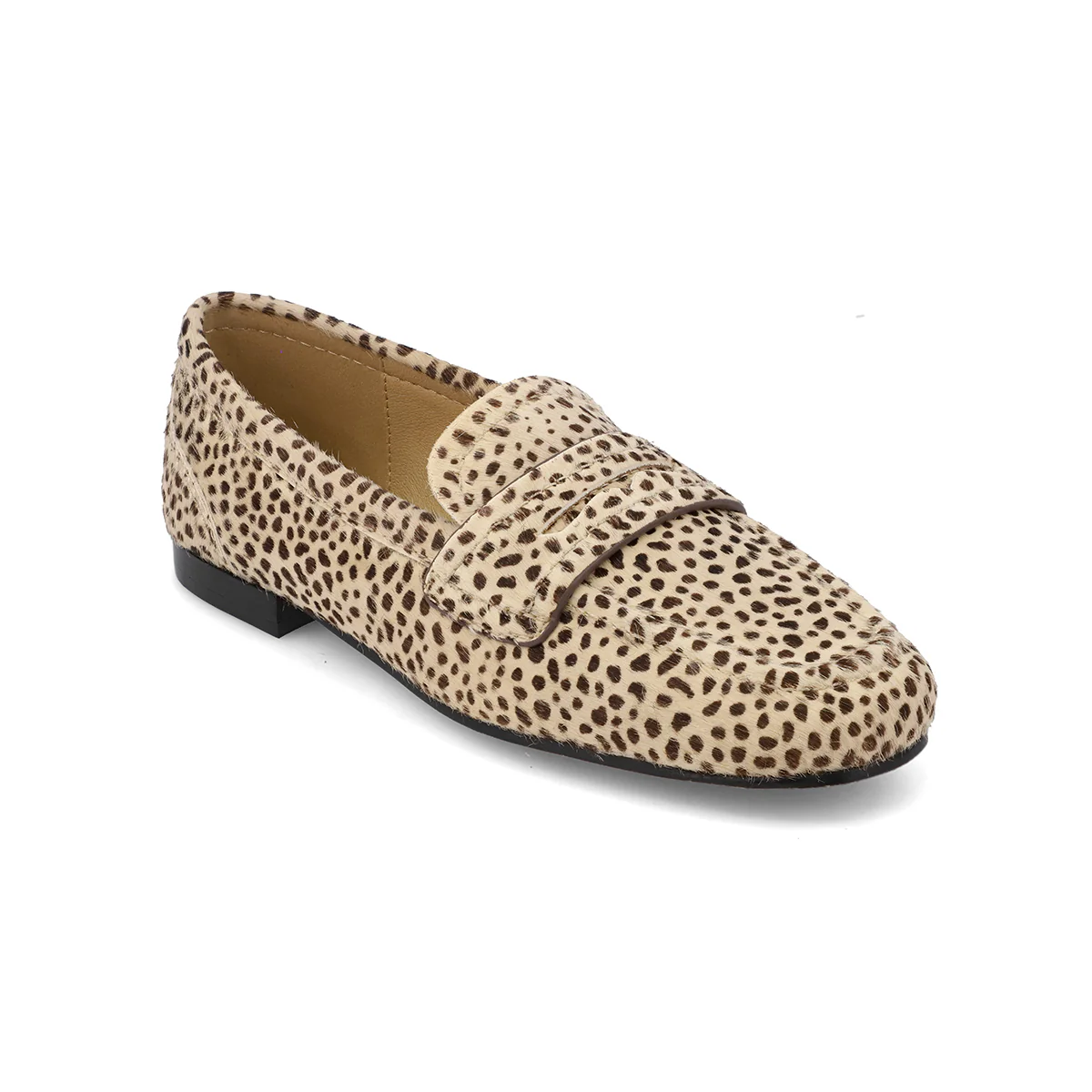 BAHAR - CHEETAH