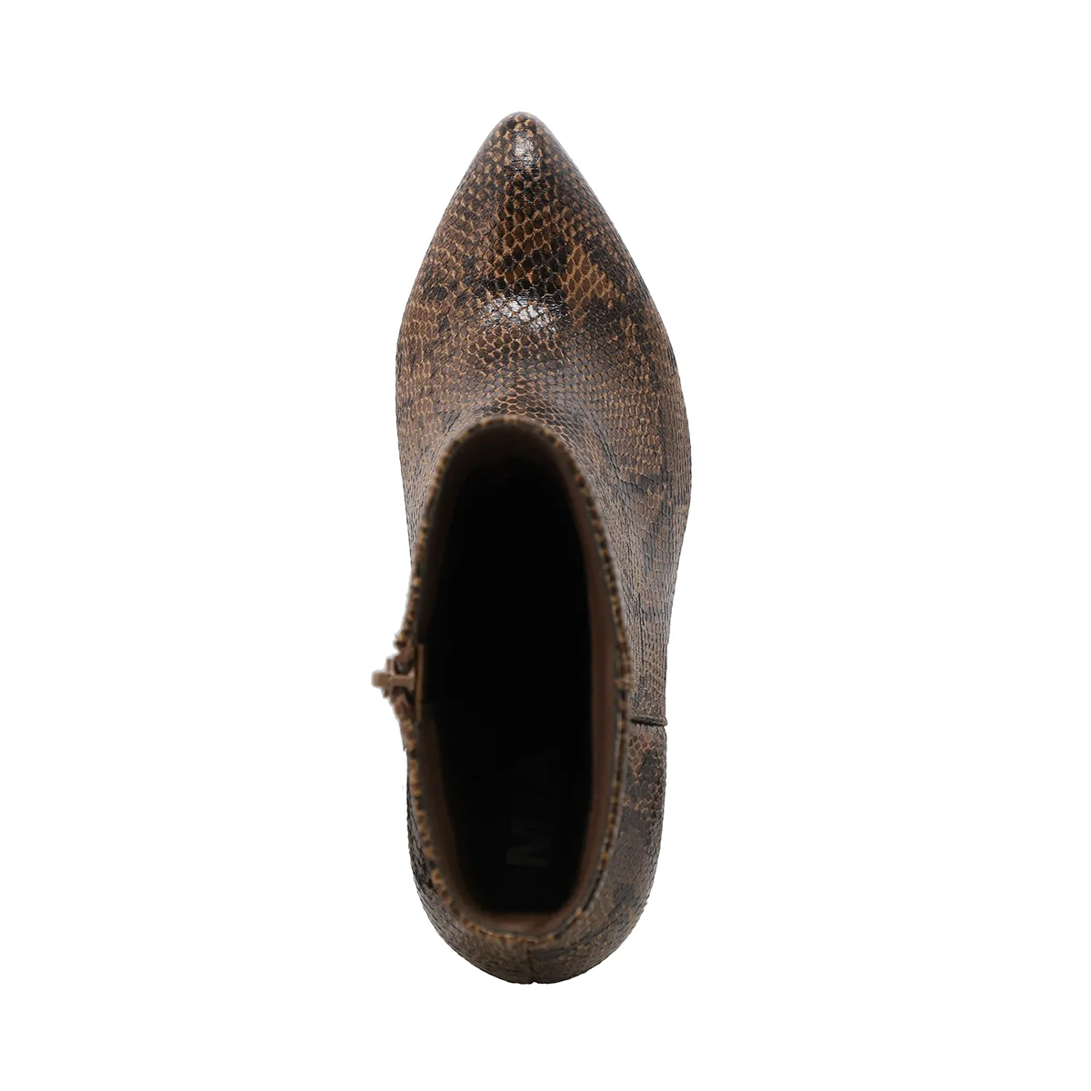 EDIVA - BROWN SNAKE - Image 4