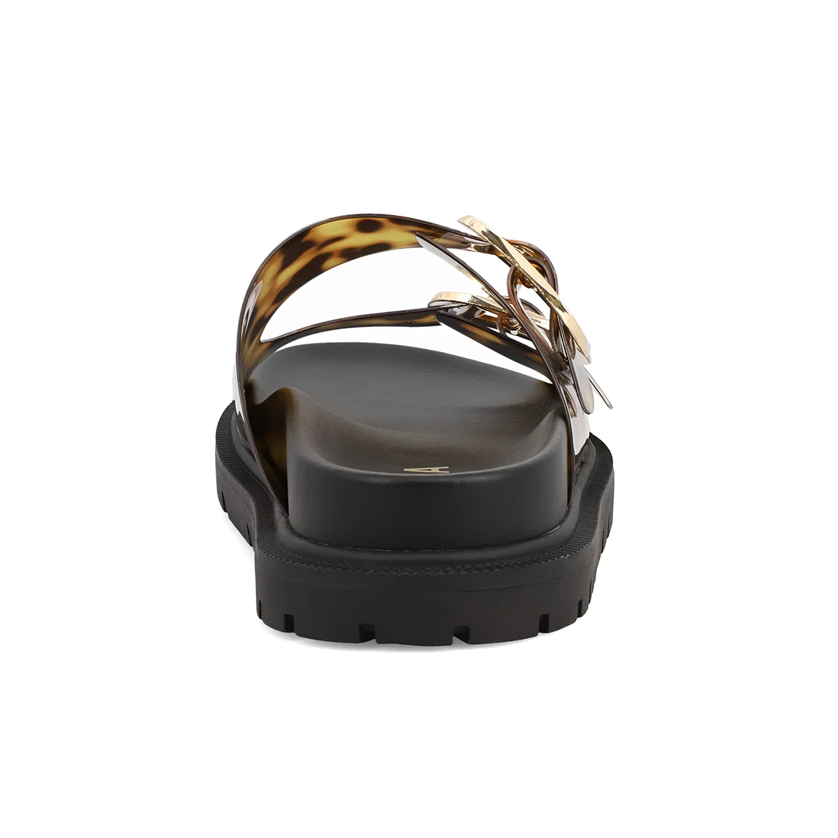 GEN - TORTOISE JELLY - Image 3
